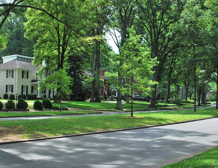 photo of eastover neighborhood street in charlotte nc