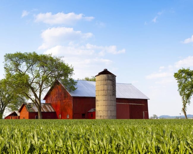 Red Barn in Field in Eastover, North Carolina